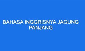 Tongkol Jagung Bahasa Inggrisnya Adalah